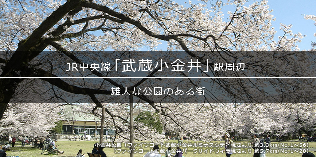 「武蔵小金井」駅周辺